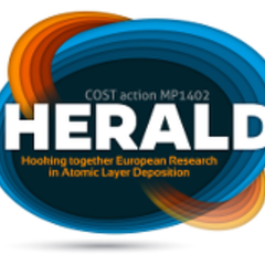 Dr. Mari Napari in COST Action HERALD Workshop
