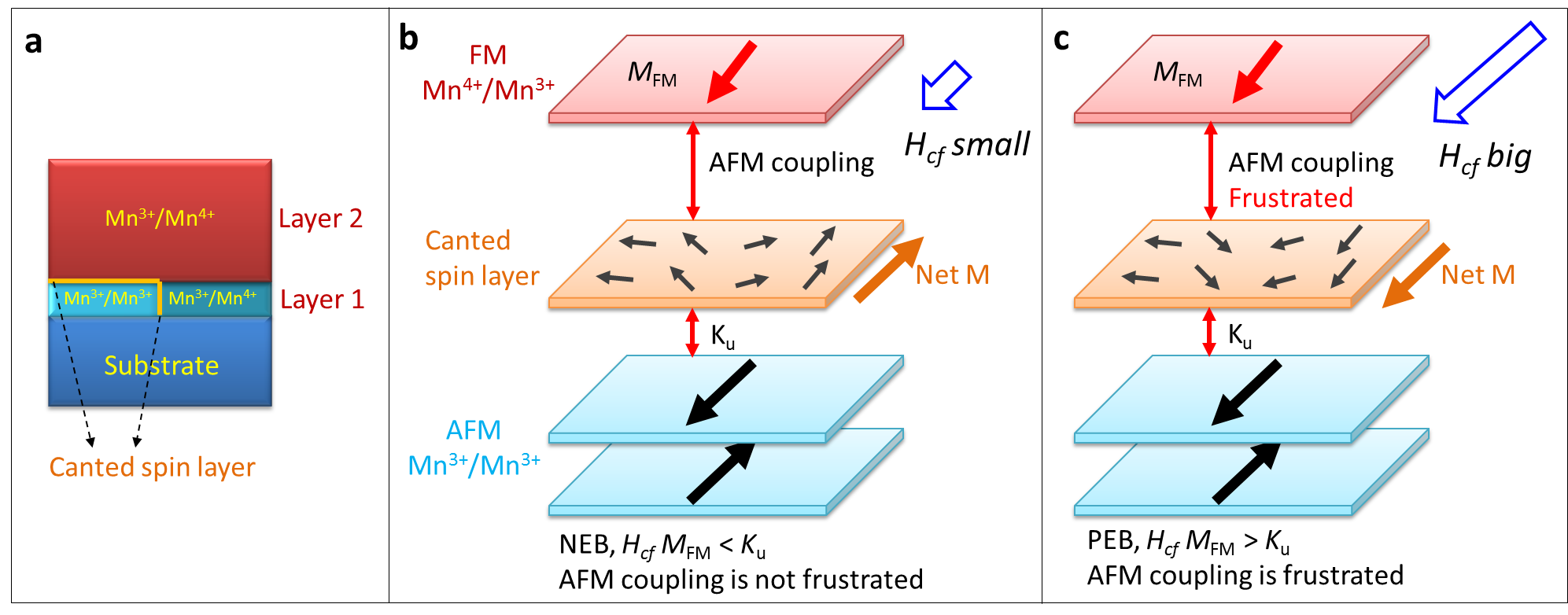 Figure 2. Spin configuration of nominally ferromagnetic manganite oxide heterostructures with an interfacial layer formed between a manganite layer and a SrTiO3 substrate.  Reproduced with permission from A. Chen et al., 10.1002/adma.201700672.
