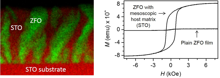 Figure 4. Epitaxial nanocomposite film of ZnFe2O4 (ZFO) in a SrTiO3 (STO) mesoscopic matrix, and corresponding magnetic properties compared to a plain film. Figures from Park C, Wu R, Lu P, Zhao H, Zhan B, Li W, Yun C, Wang H, J. L. MacManus-Driscoll JL*,